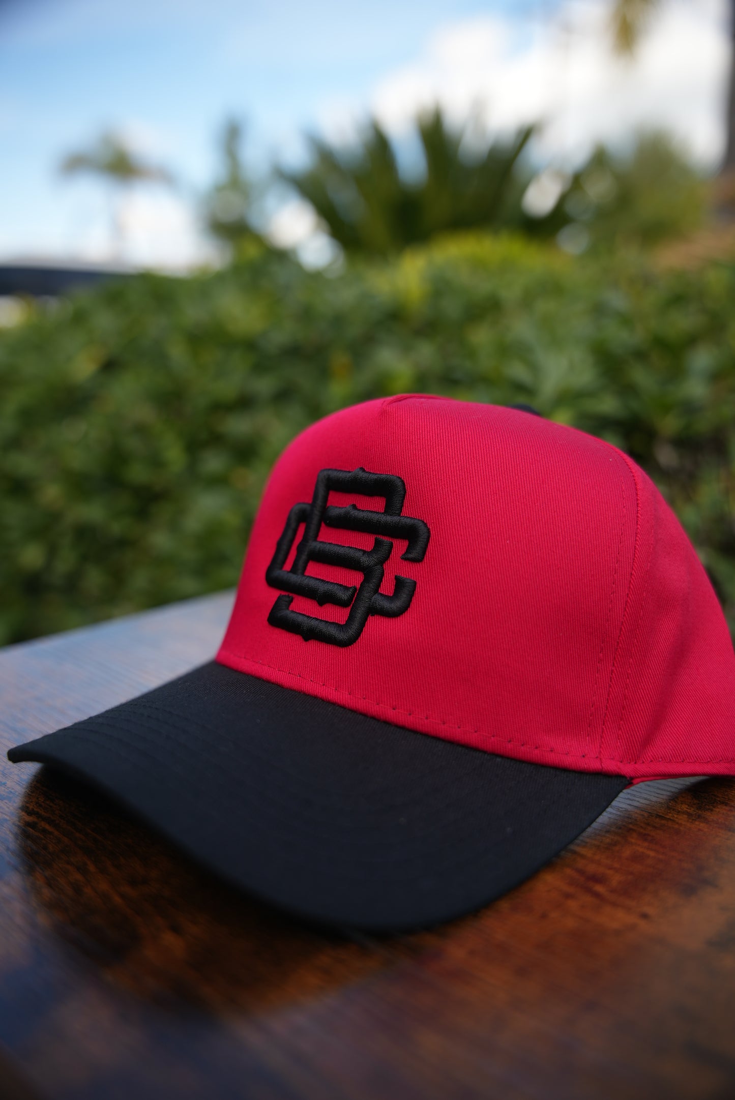 BC Logo Red w/Black Curved Bill